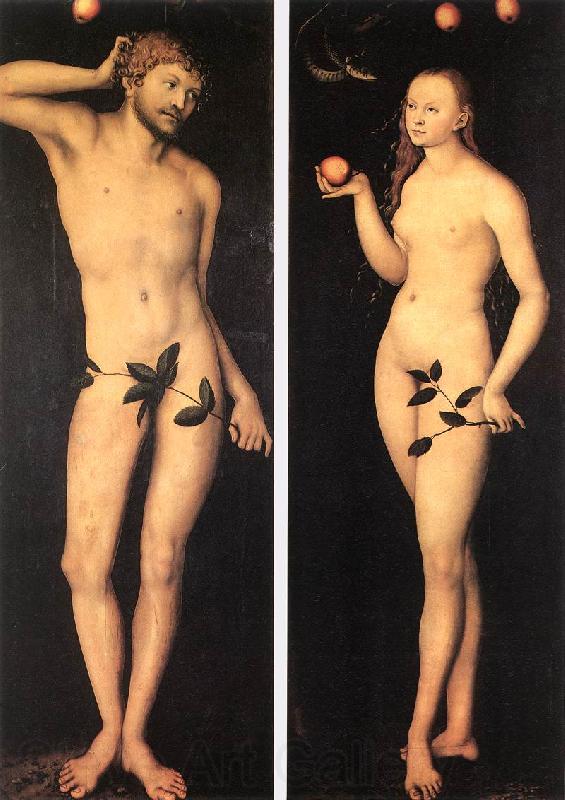 CRANACH, Lucas the Elder Adam and Eve fh Germany oil painting art